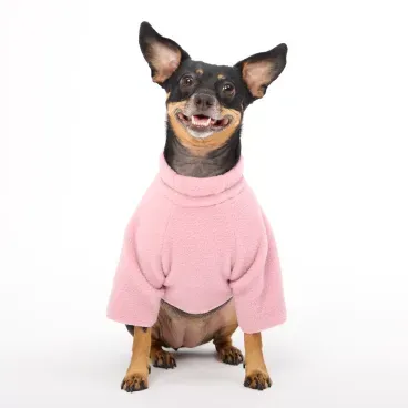 Blusa Dog Rose Frontal